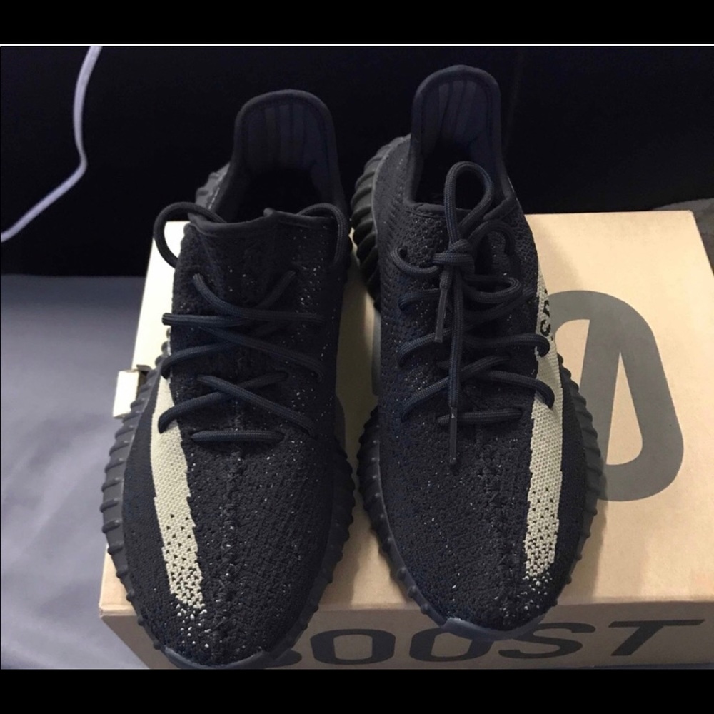 Adidas yeezy boost 350 v2